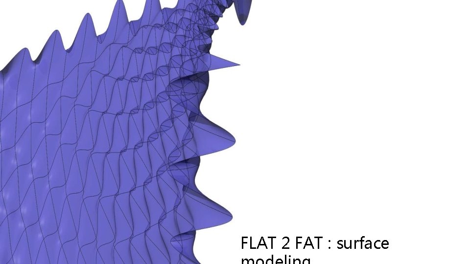 FLAT 2 FAT : surface 
