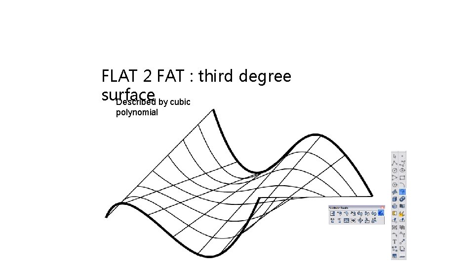 FLAT 2 FAT : third degree surface Described by cubic polynomial 
