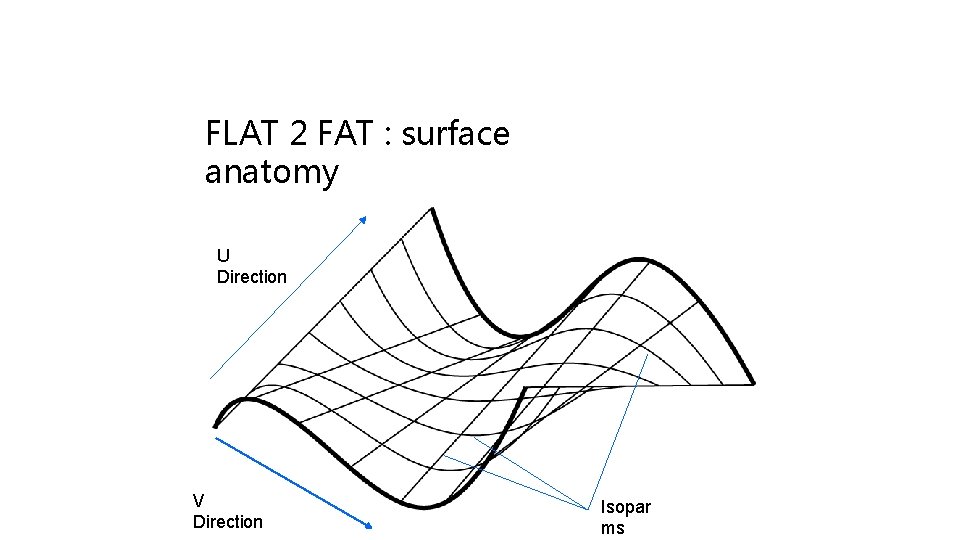 FLAT 2 FAT : surface anatomy U Direction V Direction Isopar ms 