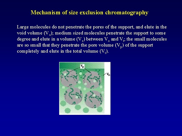 Mechanism of size exclusion chromatography Large molecules do not penetrate the pores of the