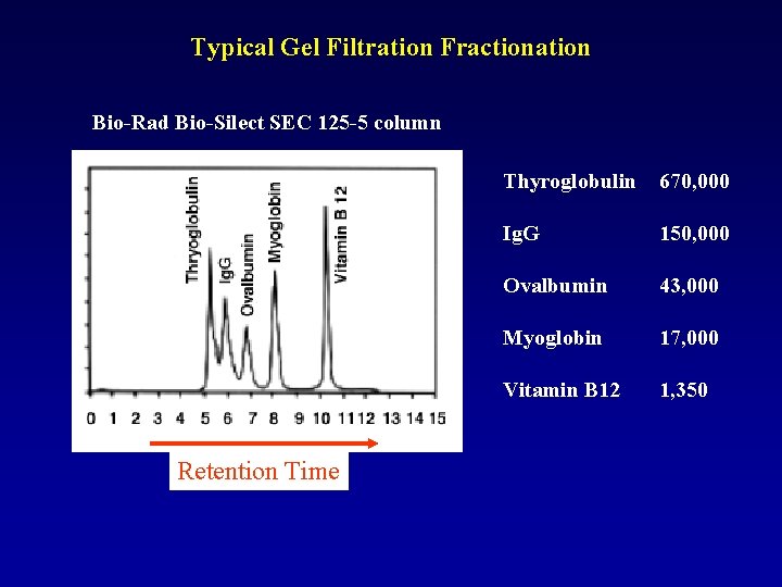 Typical Gel Filtration Fractionation Bio-Rad Bio-Silect SEC 125 -5 column Retention Time Thyroglobulin 670,