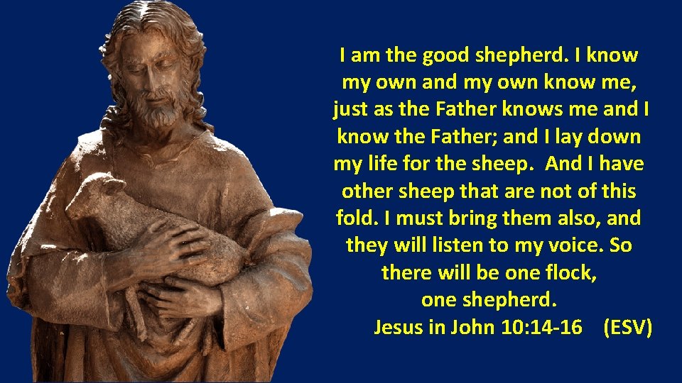 I am the good shepherd. I know my own and my own know me,