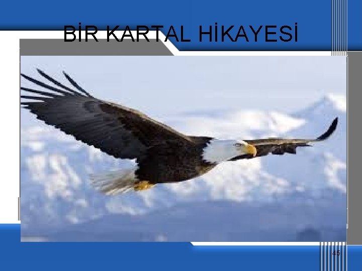 BİR KARTAL HİKAYESİ 45 