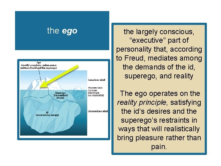 the ego the largely conscious, “executive” part of personality that, according to Freud, mediates