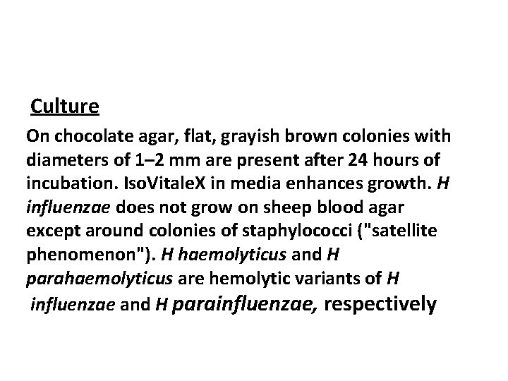 Culture On chocolate agar, flat, grayish brown colonies with diameters of 1– 2 mm