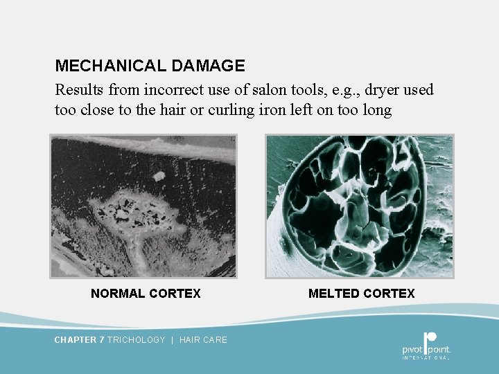 MECHANICAL DAMAGE Results from incorrect use of salon tools, e. g. , dryer used