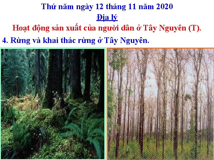 Thứ năm ngày 12 tháng 11 năm 2020 Địa lý Hoạt động sản xuất