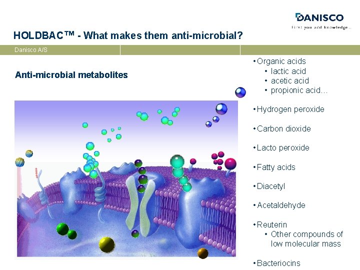 HOLDBAC™ - What makes them anti-microbial? Danisco A/S Anti-microbial metabolites • Organic acids •