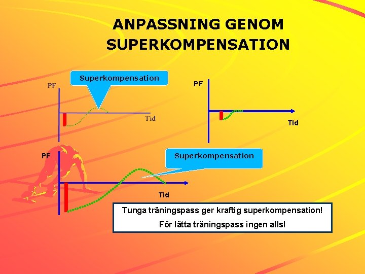 ANPASSNING GENOM SUPERKOMPENSATION Superkompensation PF Tid Tunga träningspass ger kraftig superkompensation! För lätta träningspass