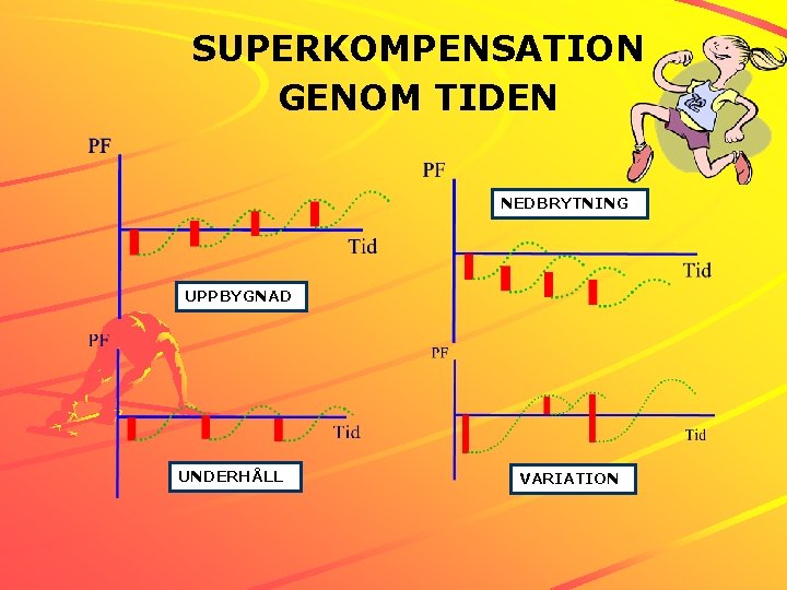 SUPERKOMPENSATION GENOM TIDEN NEDBRYTNING UPPBYGNAD UNDERHÅLL VARIATION 