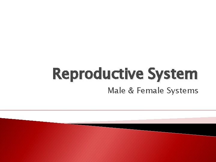 Reproductive System Male & Female Systems 