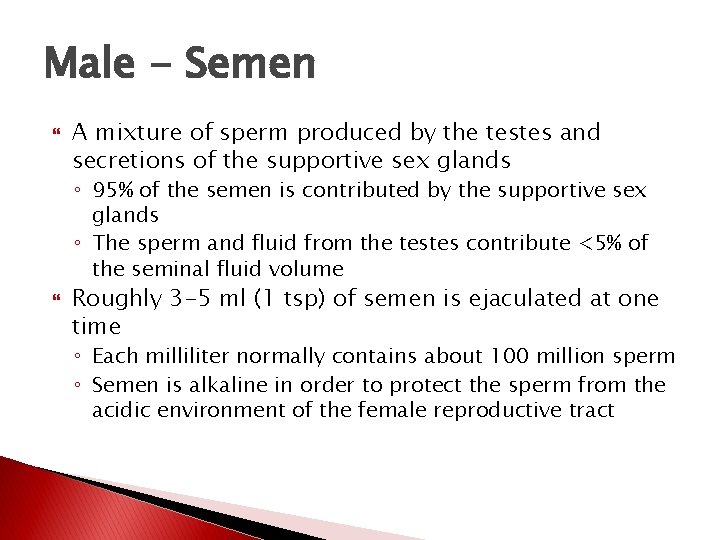 Male - Semen A mixture of sperm produced by the testes and secretions of