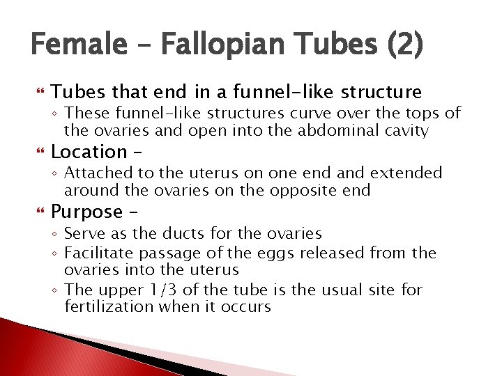 Female – Fallopian Tubes (2) Tubes that end in a funnel-like structure ◦ These