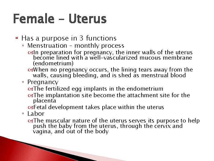 Female – Uterus Has a purpose in 3 functions ◦ Menstruation – monthly process