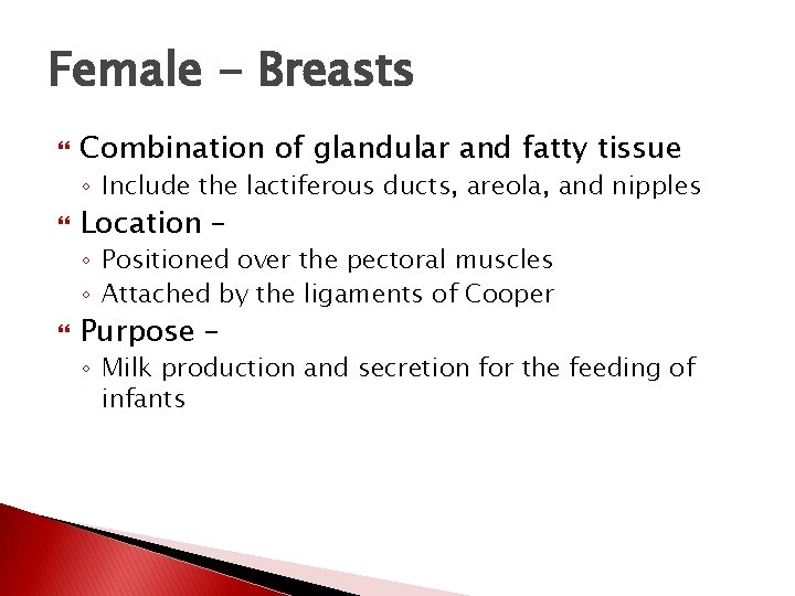 Female - Breasts Combination of glandular and fatty tissue ◦ Include the lactiferous ducts,