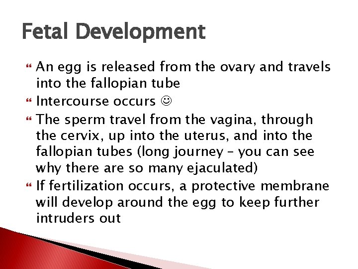 Fetal Development An egg is released from the ovary and travels into the fallopian