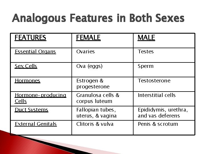Analogous Features in Both Sexes FEATURES FEMALE Essential Organs Ovaries Testes Sex Cells Ova