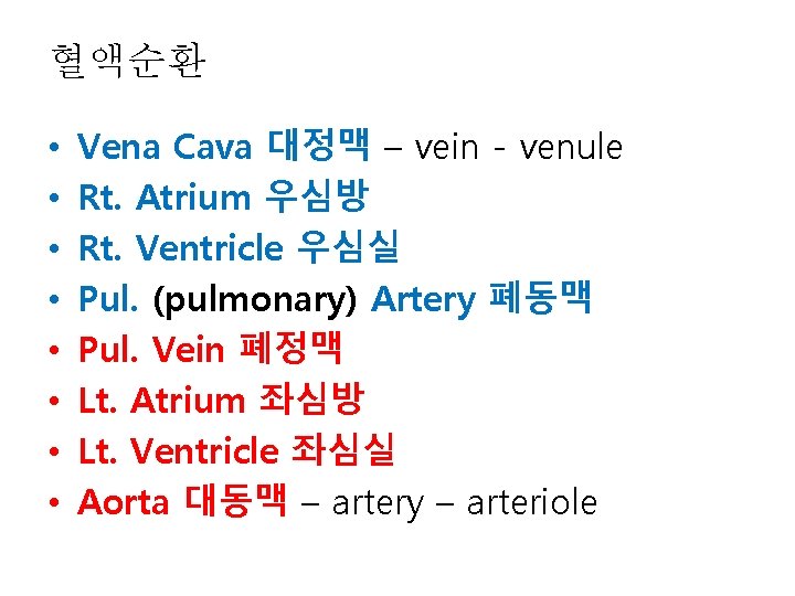 혈액순환 • • Vena Cava 대정맥 – vein - venule Rt. Atrium 우심방 Rt.