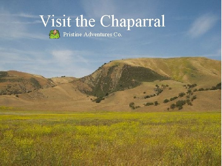Visit the Chaparral Pristine Adventures Co. Visit the Chaparral Pristine Adventures Co.