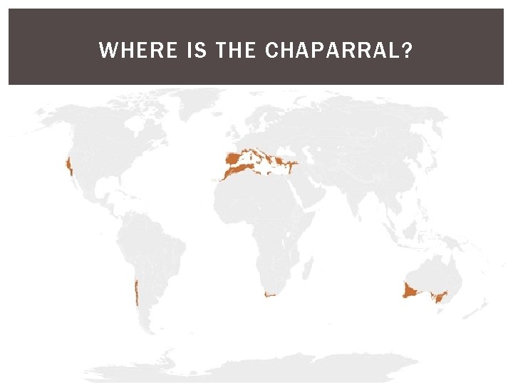 WHERE IS THE CHAPARRAL? WHERE IS THE CHAPARRAL?