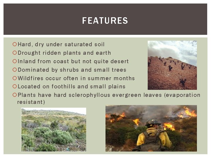 FEATURES Hard, dry under saturated soil Drought ridden plants and earth Inland from coast FEATURES Hard, dry under saturated soil Drought ridden plants and earth Inland from coast