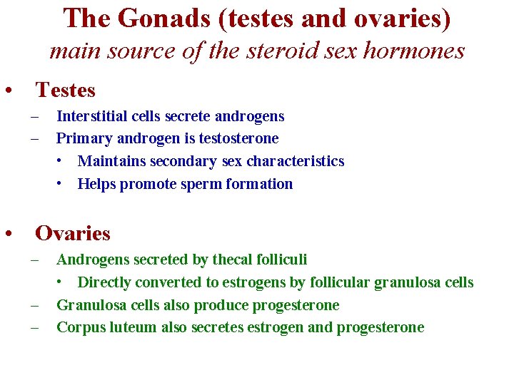 The Gonads (testes and ovaries) main source of the steroid sex hormones • Testes