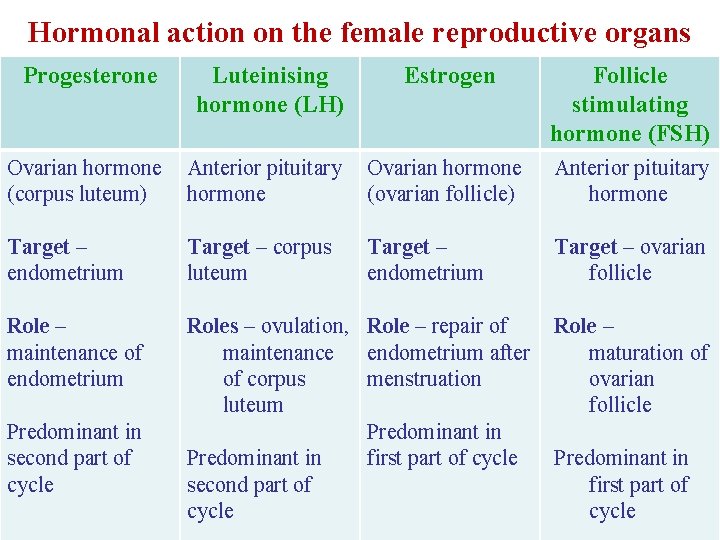 Hormonal action on the female reproductive organs Progesterone Luteinising hormone (LH) Estrogen Follicle stimulating
