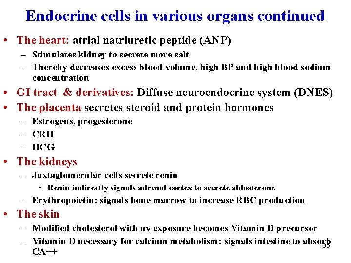 Endocrine cells in various organs continued • The heart: atrial natriuretic peptide (ANP) –