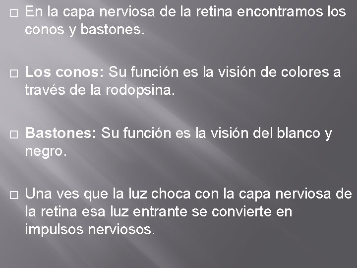 � En la capa nerviosa de la retina encontramos los conos y bastones. � � En la capa nerviosa de la retina encontramos los conos y bastones. �