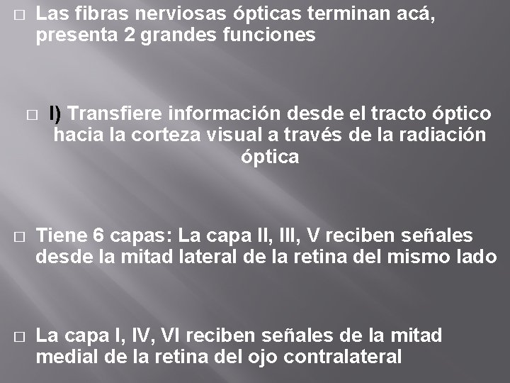 � Las fibras nerviosas ópticas terminan acá, presenta 2 grandes funciones � I) Transfiere � Las fibras nerviosas ópticas terminan acá, presenta 2 grandes funciones � I) Transfiere