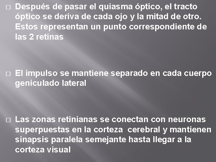 � Después de pasar el quiasma óptico, el tracto óptico se deriva de cada � Después de pasar el quiasma óptico, el tracto óptico se deriva de cada