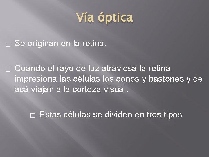 Vía óptica � Se originan en la retina. � Cuando el rayo de luz Vía óptica � Se originan en la retina. � Cuando el rayo de luz