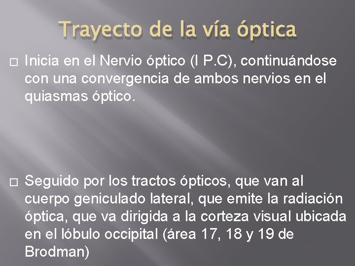 Trayecto de la vía óptica � Inicia en el Nervio óptico (I P. C), Trayecto de la vía óptica � Inicia en el Nervio óptico (I P. C),