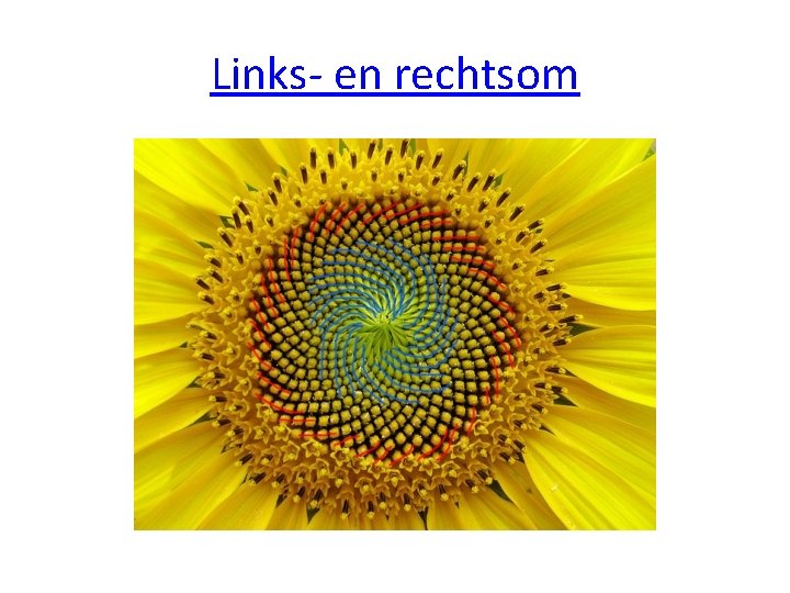 Links- en rechtsom Links- en rechtsom