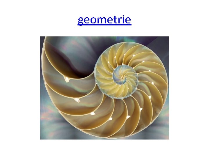 geometrie geometrie