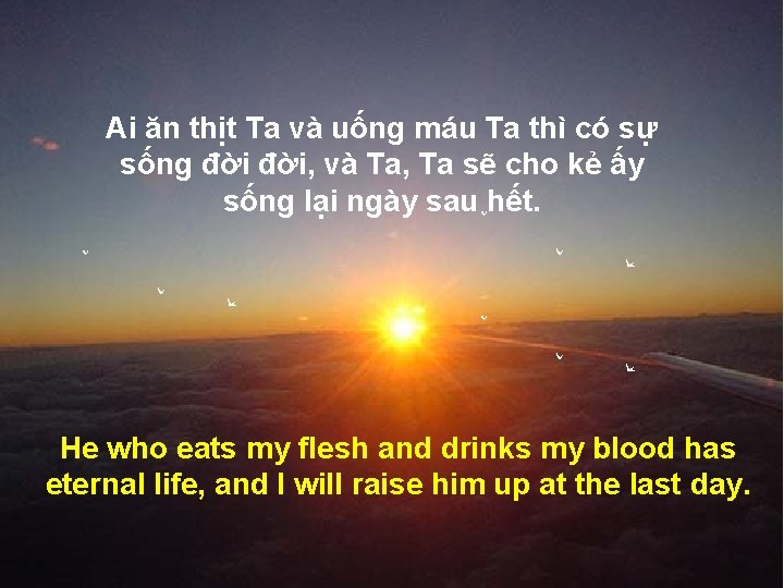 Ai ăn thịt Ta và uống máu Ta thì có sự sống đời, và