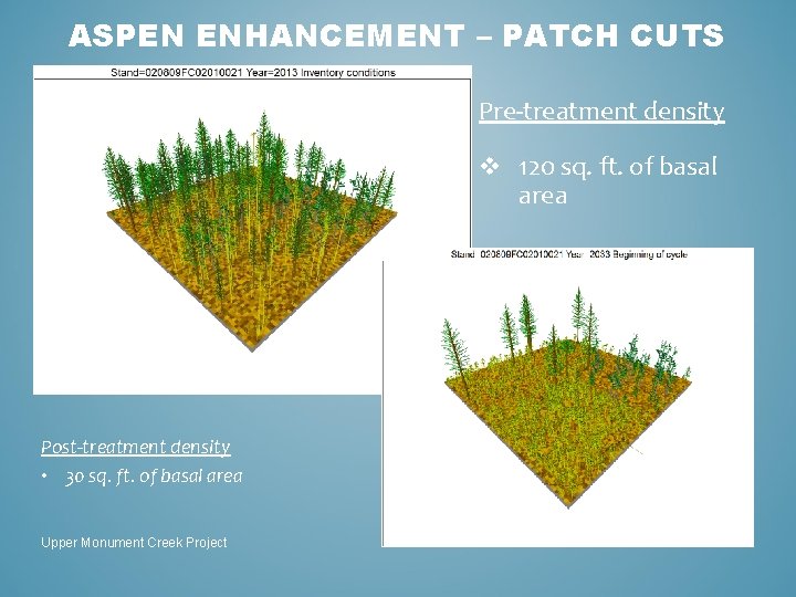 ASPEN ENHANCEMENT – PATCH CUTS Pre-treatment density v 120 sq. ft. of basal area