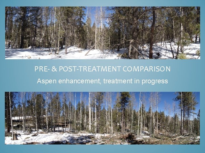 PRE- & POST-TREATMENT COMPARISON Aspen enhancement, treatment in progress 