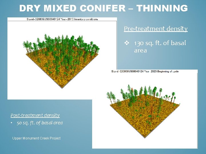 DRY MIXED CONIFER – THINNING Pre-treatment density v 130 sq. ft. of basal area