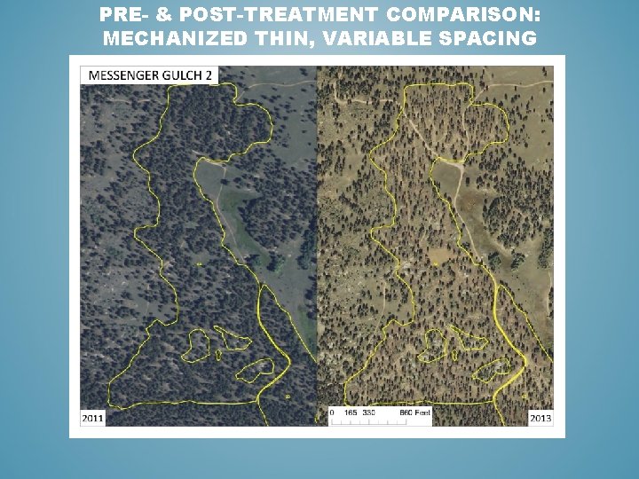 PRE- & POST-TREATMENT COMPARISON: MECHANIZED THIN, VARIABLE SPACING 