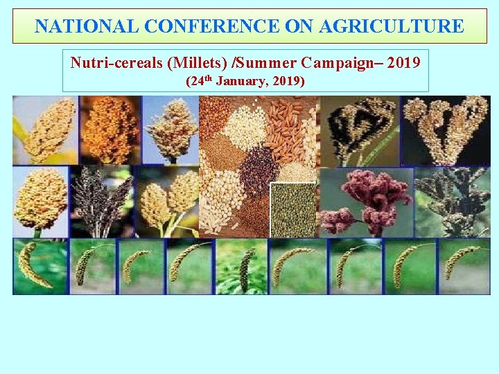 NATIONAL CONFERENCE ON AGRICULTURE Nutri-cereals (Millets) /Summer Campaign– 2019 (24 th January, 2019) NATIONAL CONFERENCE ON AGRICULTURE Nutri-cereals (Millets) /Summer Campaign– 2019 (24 th January, 2019)