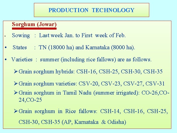 PRODUCTION TECHNOLOGY Sorghum (Jowar) • Sowing : Last week Jan. to First week of PRODUCTION TECHNOLOGY Sorghum (Jowar) • Sowing : Last week Jan. to First week of