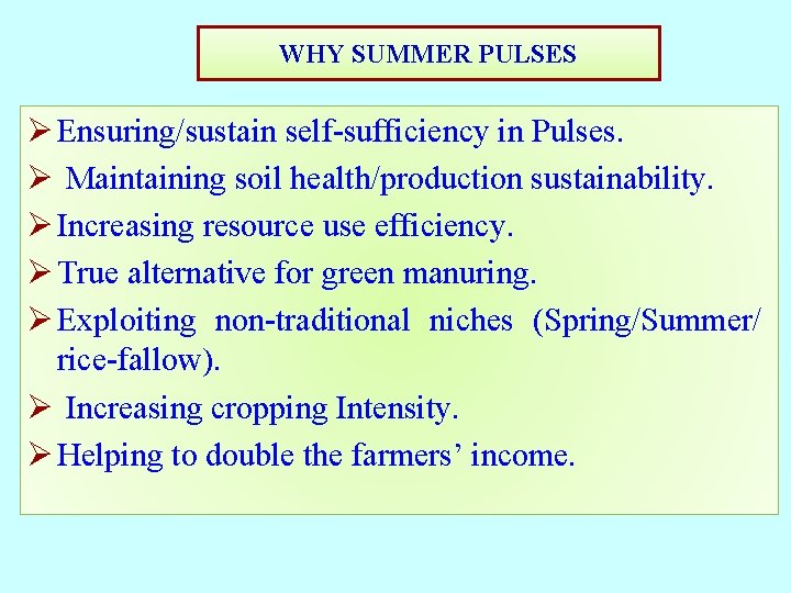 WHY SUMMER PULSES Ø Ensuring/sustain self-sufficiency in Pulses. Ø Maintaining soil health/production sustainability. Ø WHY SUMMER PULSES Ø Ensuring/sustain self-sufficiency in Pulses. Ø Maintaining soil health/production sustainability. Ø