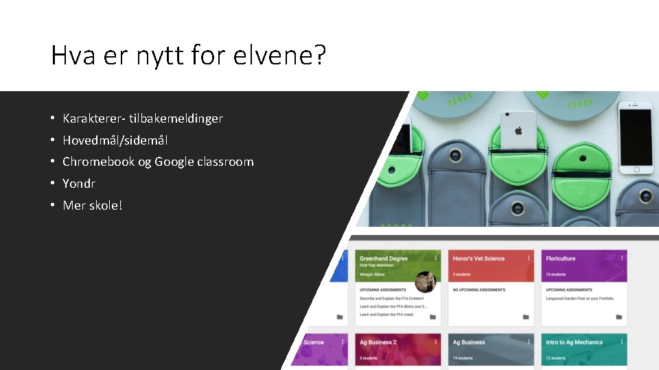 Hva er nytt for elvene? • Karakterer- tilbakemeldinger • Hovedmål/sidemål • Chromebook og Google