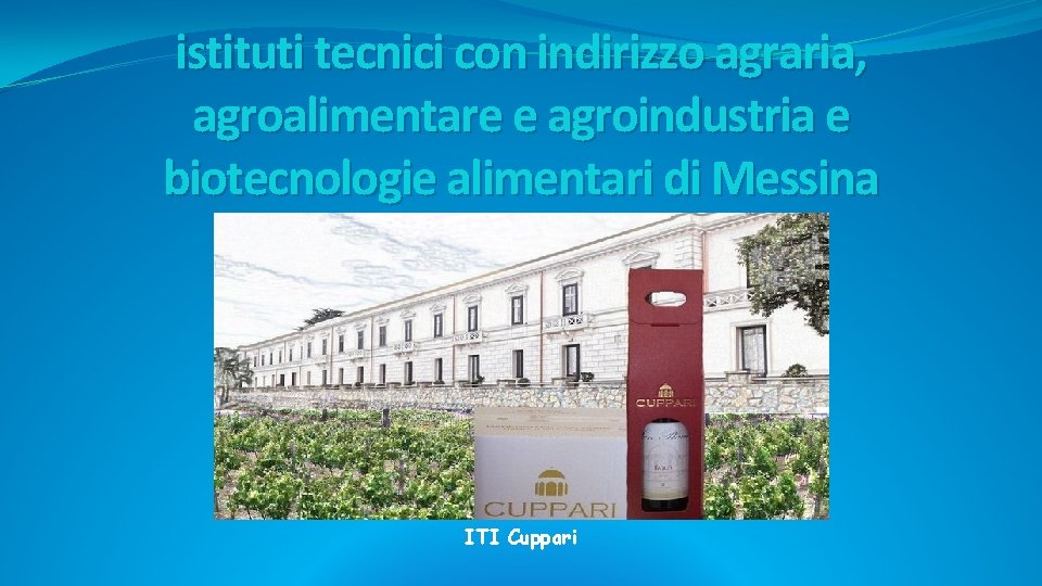 istituti tecnici con indirizzo agraria, agroalimentare e agroindustria e biotecnologie alimentari di Messina ITI istituti tecnici con indirizzo agraria, agroalimentare e agroindustria e biotecnologie alimentari di Messina ITI