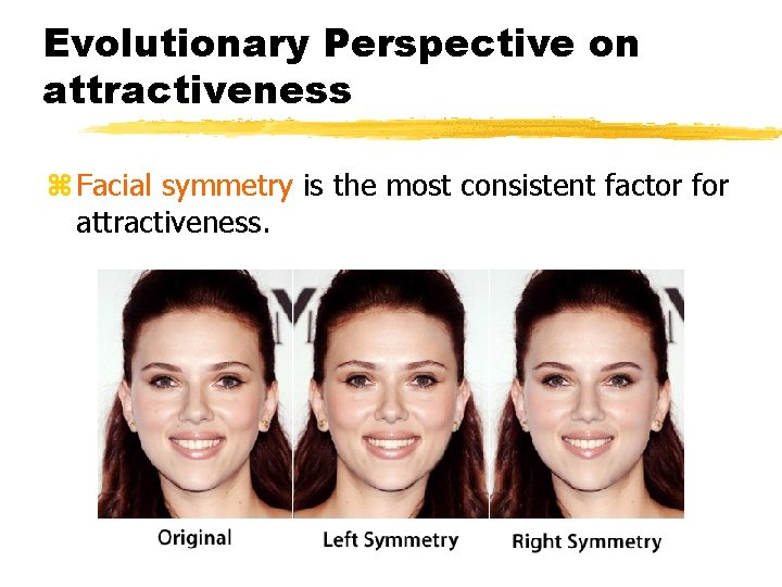 Evolutionary Perspective on attractiveness z Facial symmetry is the most consistent factor for attractiveness.