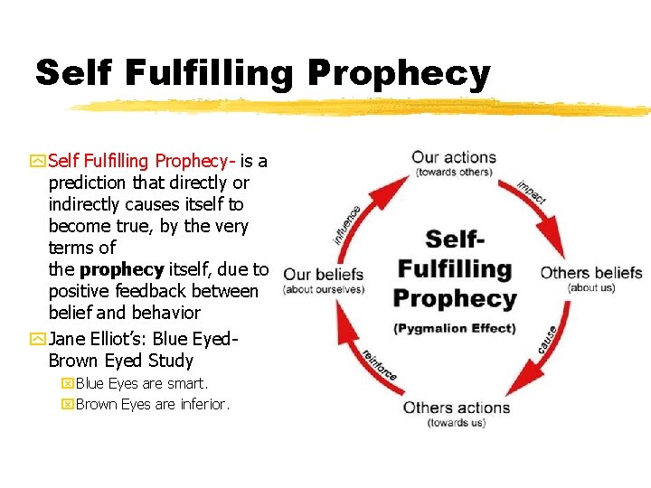 Self Fulfilling Prophecy y Self Fulfilling Prophecy- is a prediction that directly or indirectly