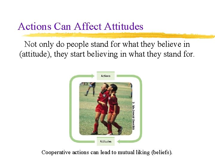 Actions Can Affect Attitudes Not only do people stand for what they believe in