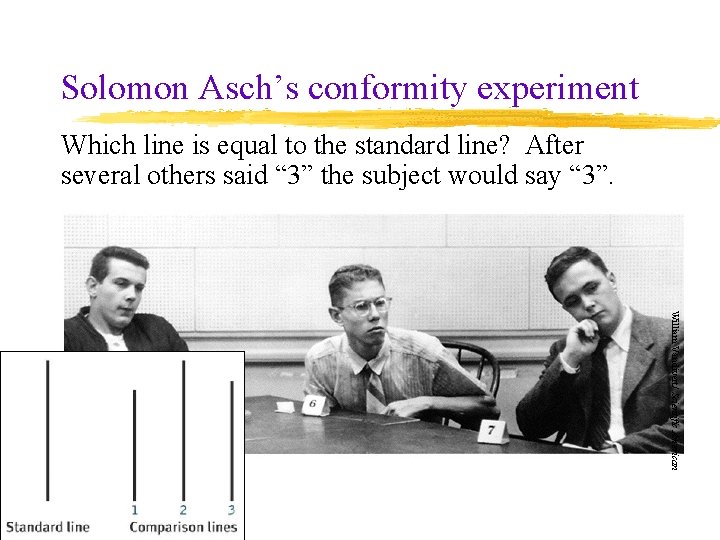 Solomon Asch’s conformity experiment Which line is equal to the standard line? After several