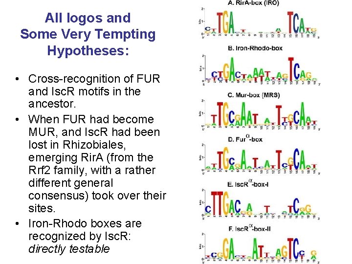 All logos and Some Very Tempting Hypotheses: • Cross-recognition of FUR and Isc. R